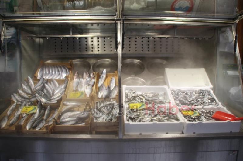 Hamsi 8 TL Palamut Tane 5 TL