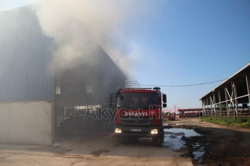 Hayvan Çiftliği Samanlığında yangın