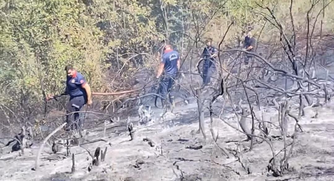 Hendek'te orman yangını söndürüldü