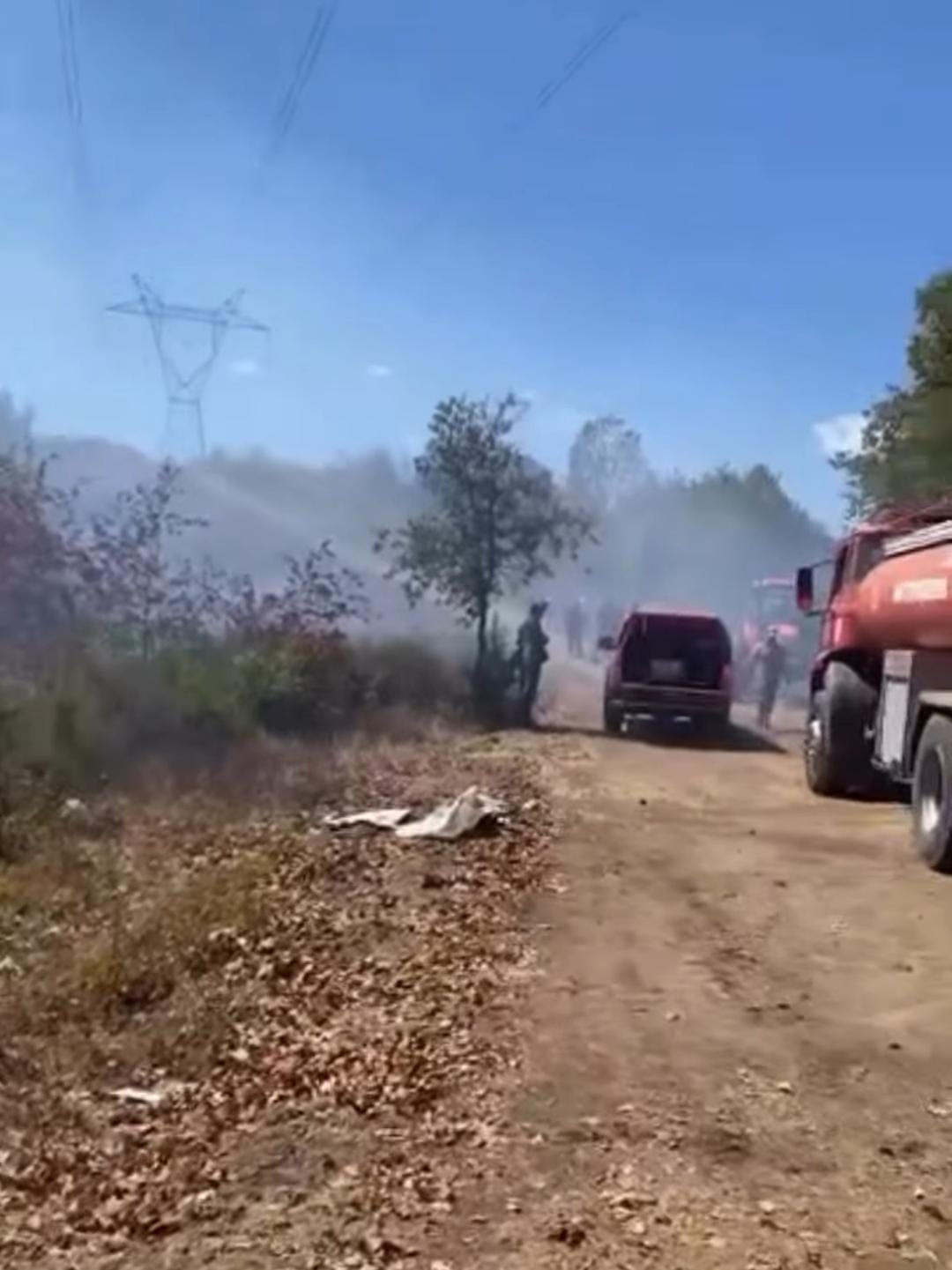 Hendek'te orman yangını söndürüldü