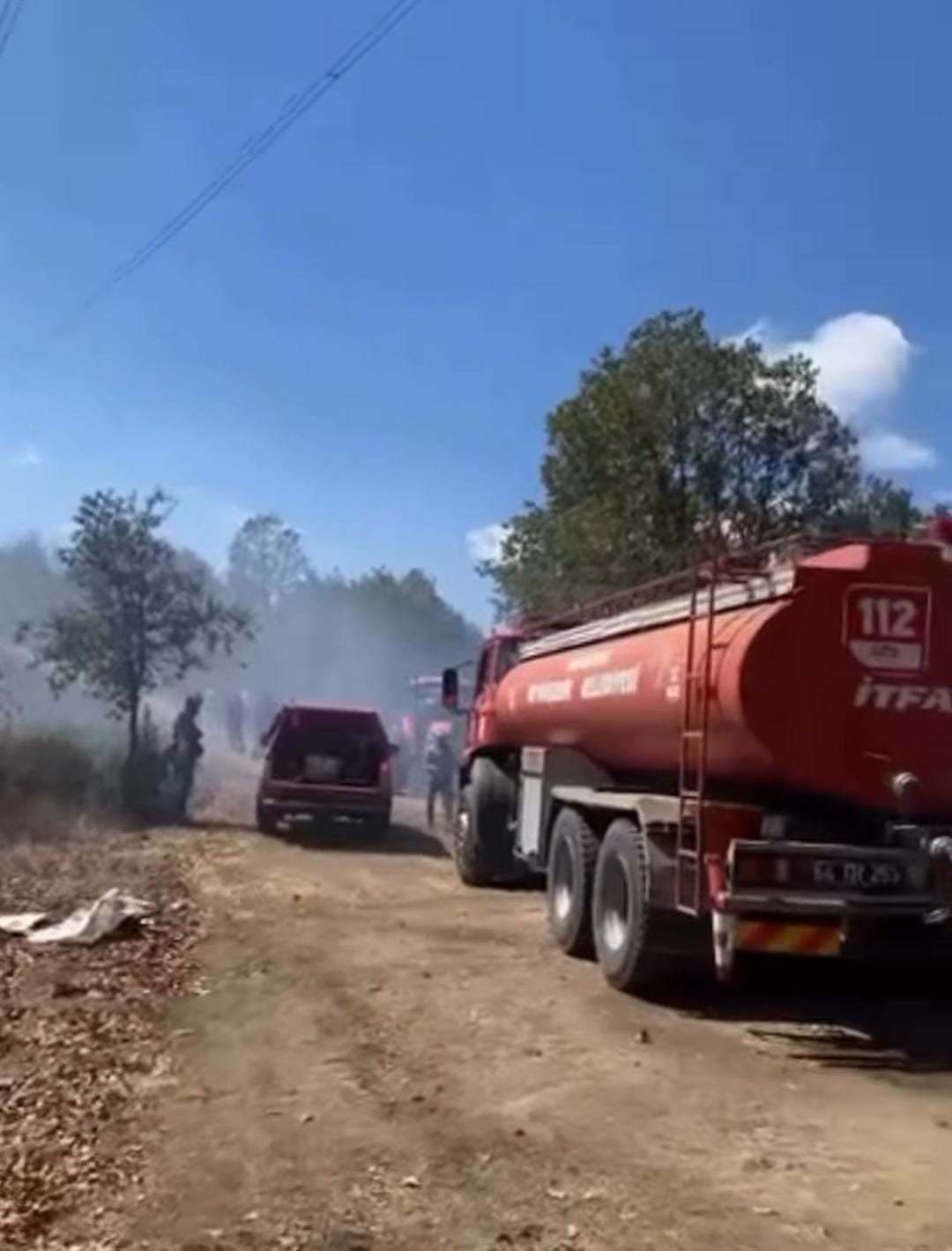 Hendek'te orman yangını söndürüldü