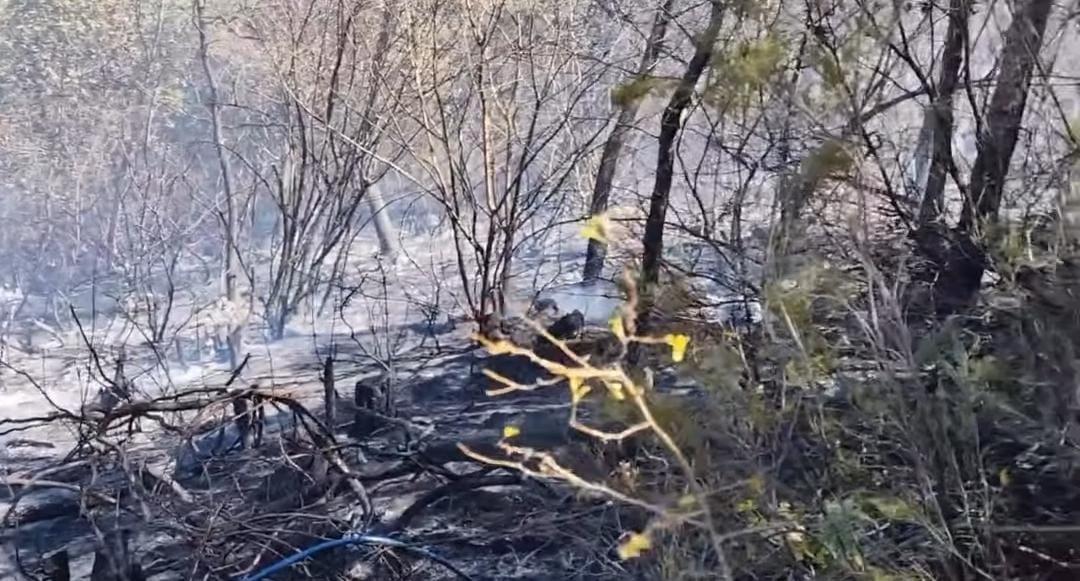 Hendek'te orman yangını söndürüldü