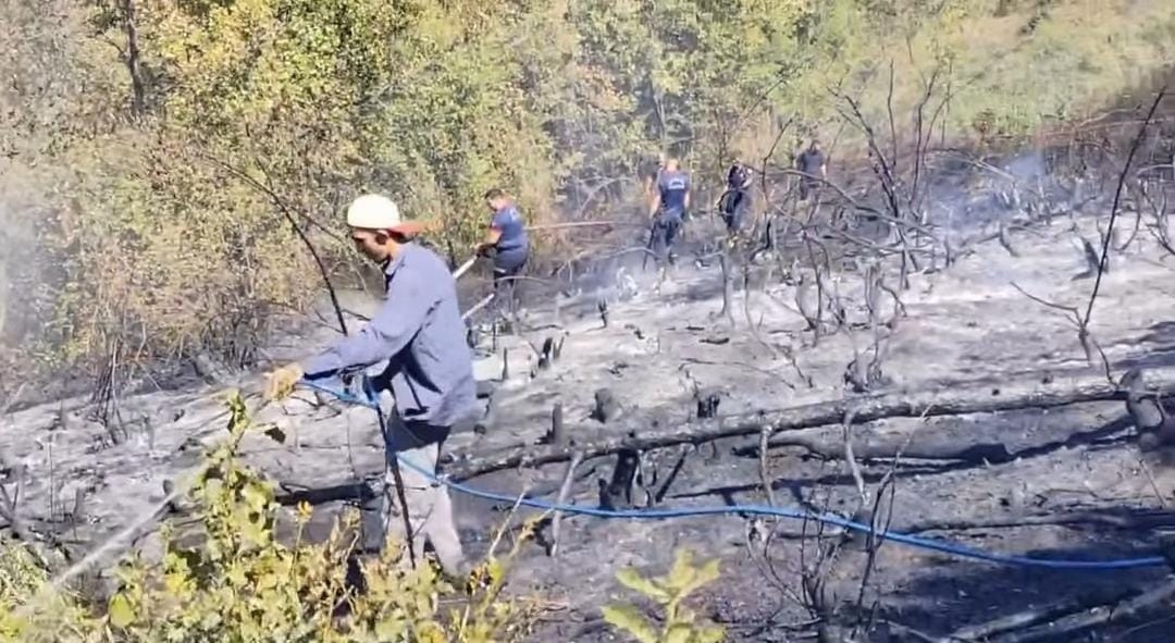 Hendek'te orman yangını söndürüldü