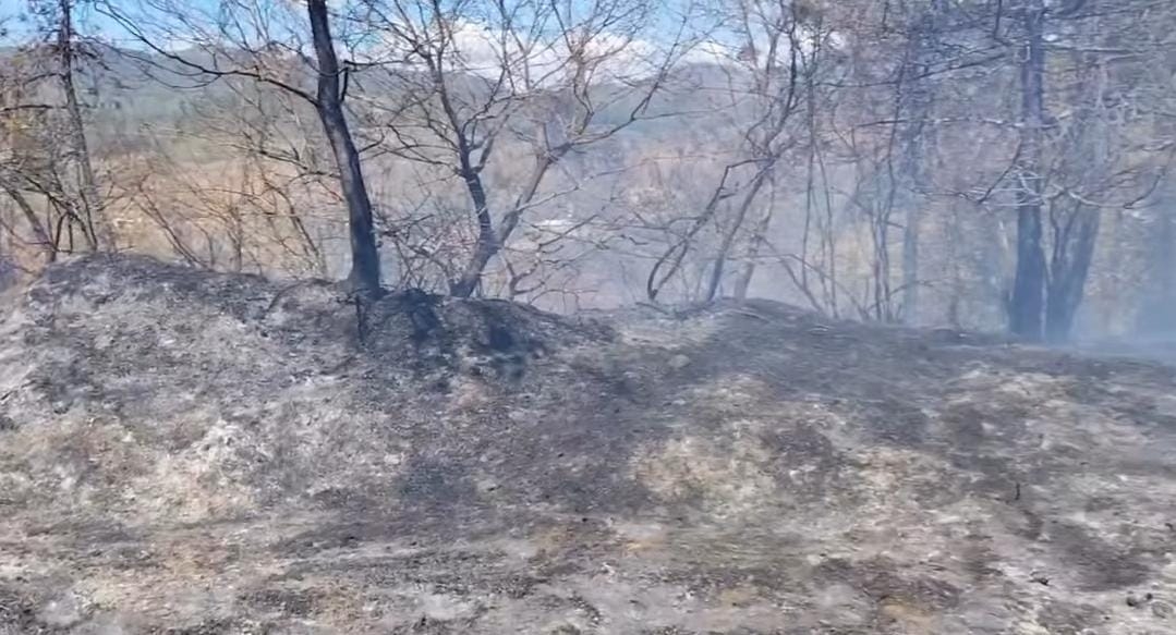 Hendek'te orman yangını söndürüldü