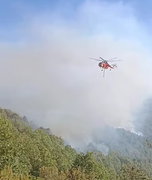 Hendek'teki orman yangını fındıklıktan başlamış