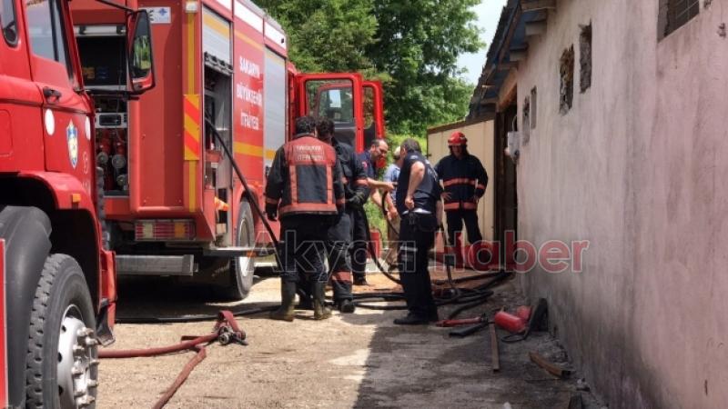 Hendekte tavuk kümesinde yangın