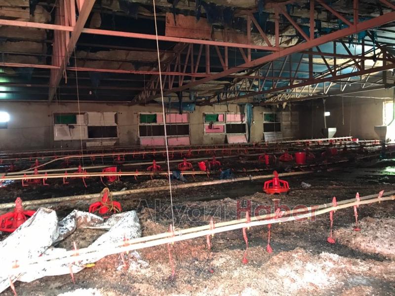 Hendekte tavuk kümesinde yangın