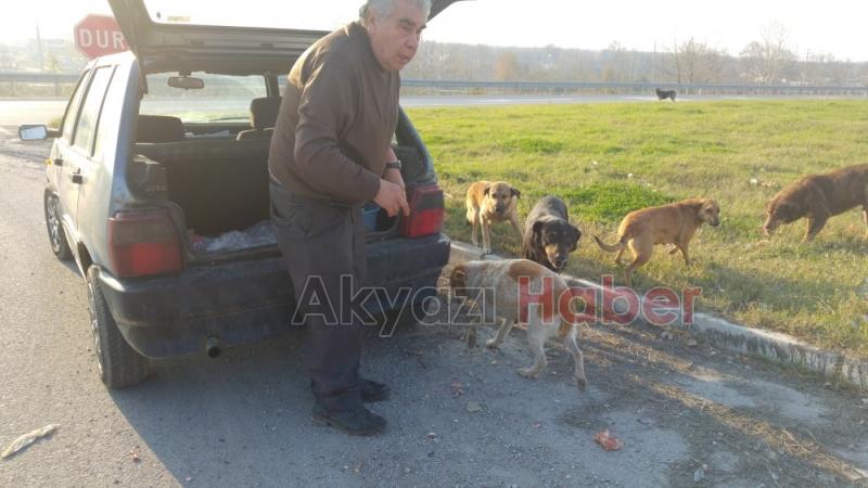 Her gün Kendi İmkanlarıyla Sokak Hayvanlarını Besliyor
