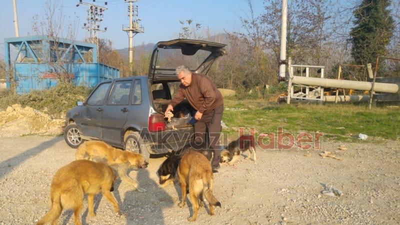 Her gün Kendi İmkanlarıyla Sokak Hayvanlarını Besliyor