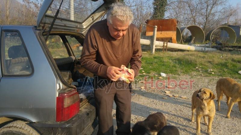 Her gün Kendi İmkanlarıyla Sokak Hayvanlarını Besliyor