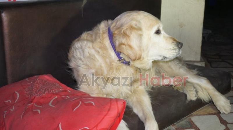 Her şey Max’in üşümemesi için