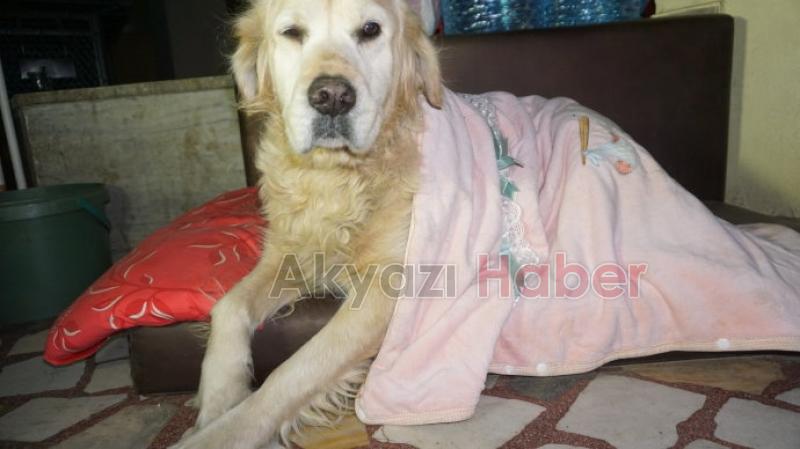 Her şey Max’in üşümemesi için