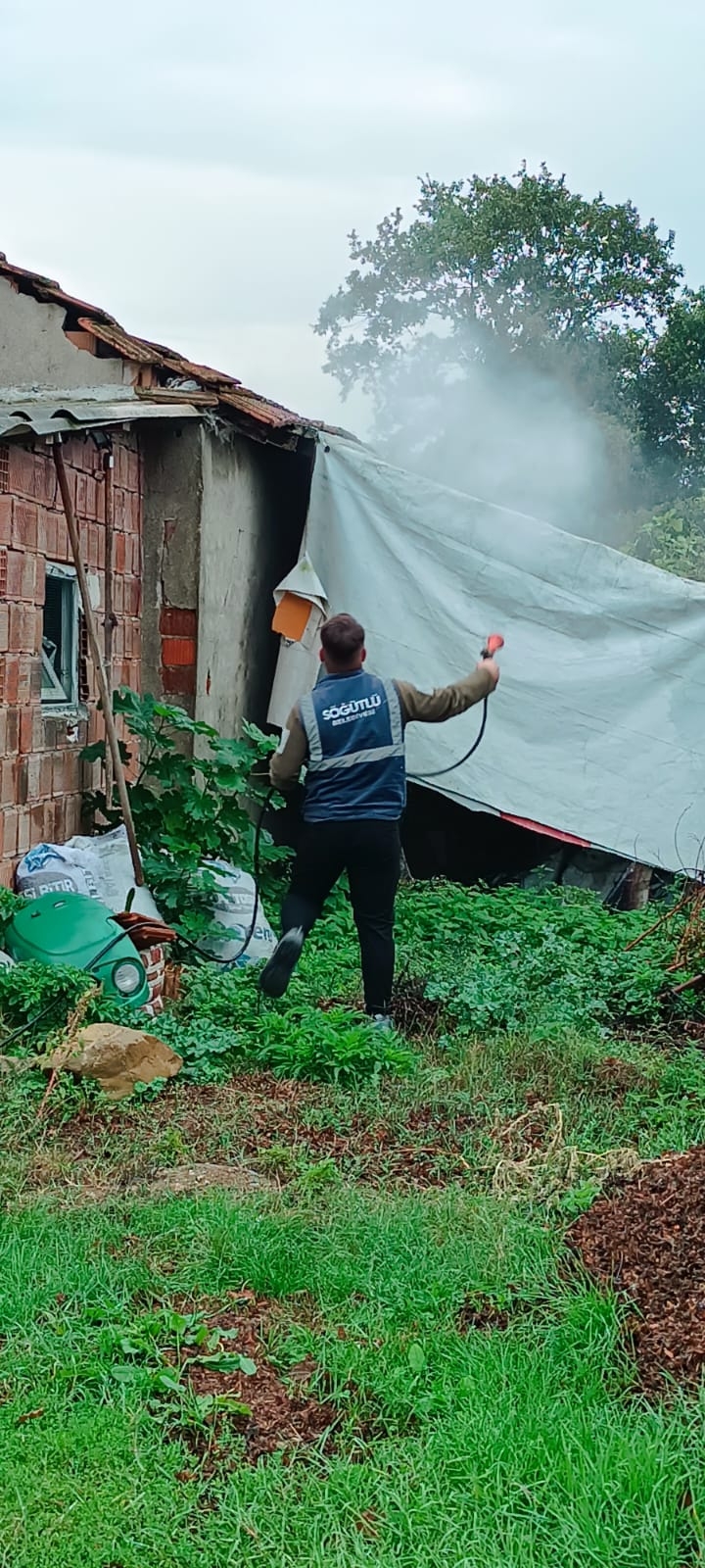 Her yeri istila ettiler; Mücadele başladı