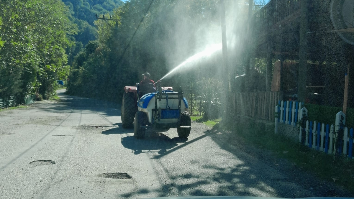 Her yeri istila ettiler; Mücadele başladı