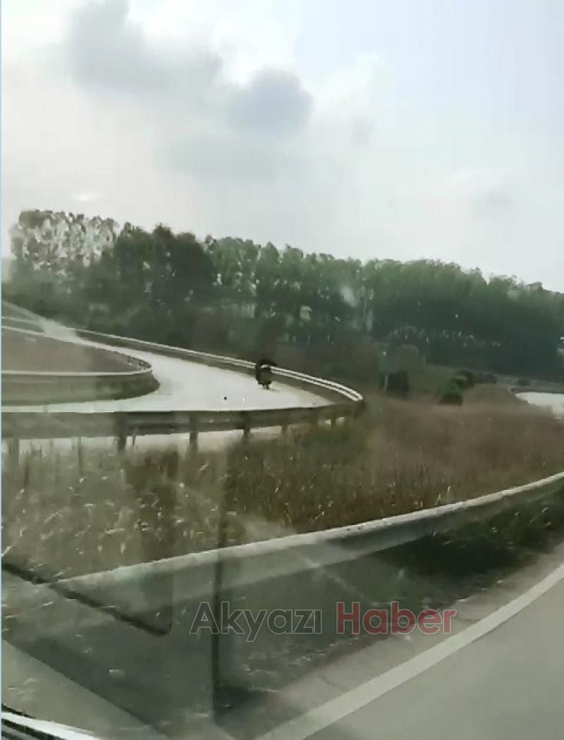 Herkesin hayatını tehlikeye attı