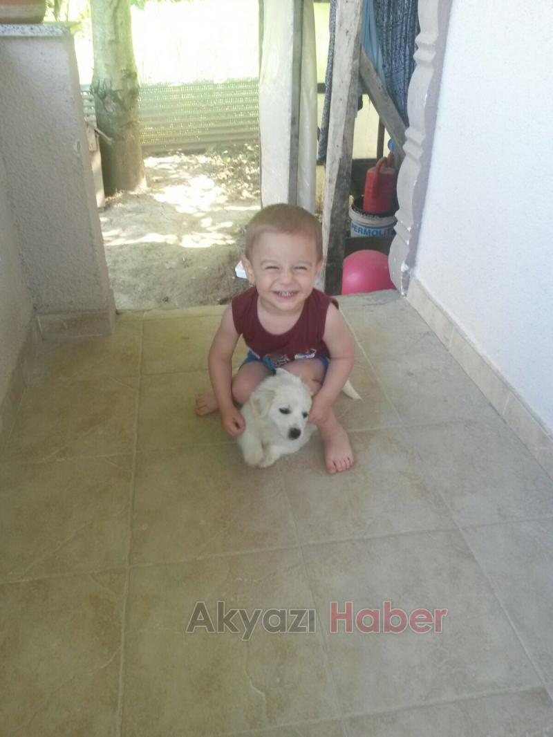 Hırsız, Bir Çocugun Sevgisini Çaldı