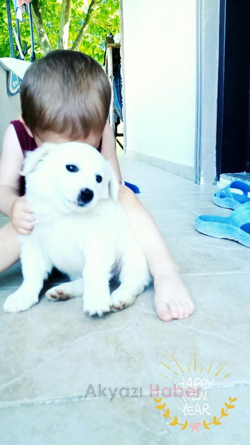 Hırsız, Bir Çocugun Sevgisini Çaldı