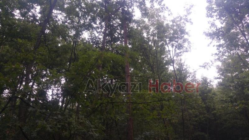 Hırsızlar 3 mahalleyi internetsiz bıraktı