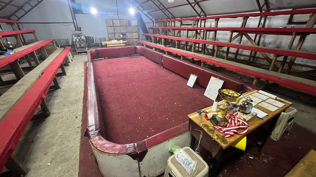 Horoz dövüştürenler suçüstü yakalandı