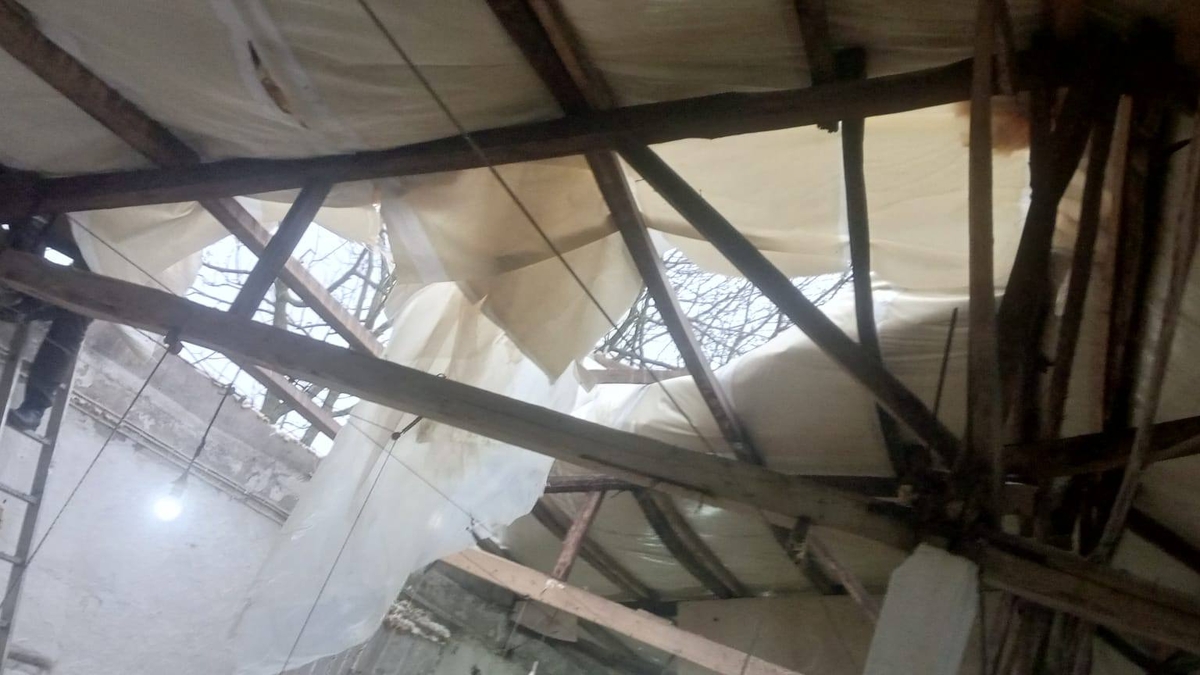 Hortum çatıyı uçurdu, tavuklar telef oldu