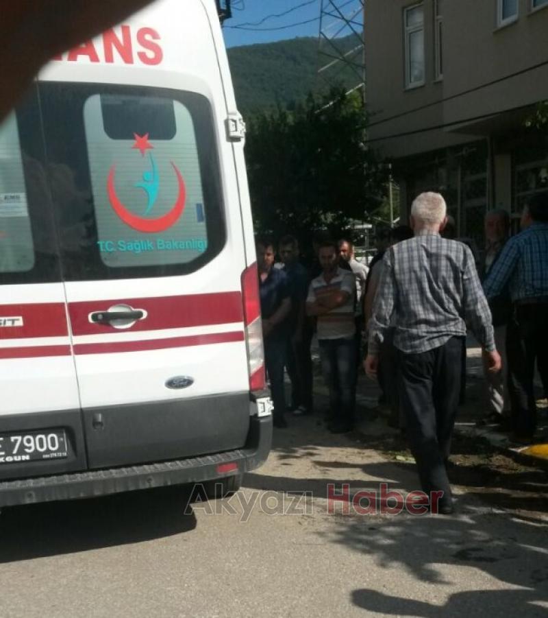 Ihlamur Toplarken Ağaçtan Düştü