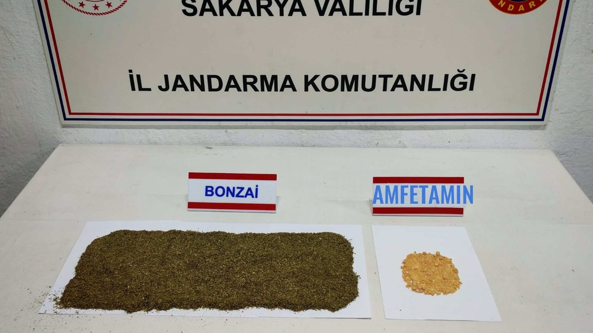 İki ilçede silah ve uyuşturucu operasyonu