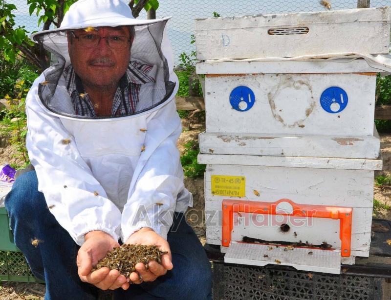 İLAÇLAMA ÇALIŞMALARINDA ARICILAR UNUTULMADI