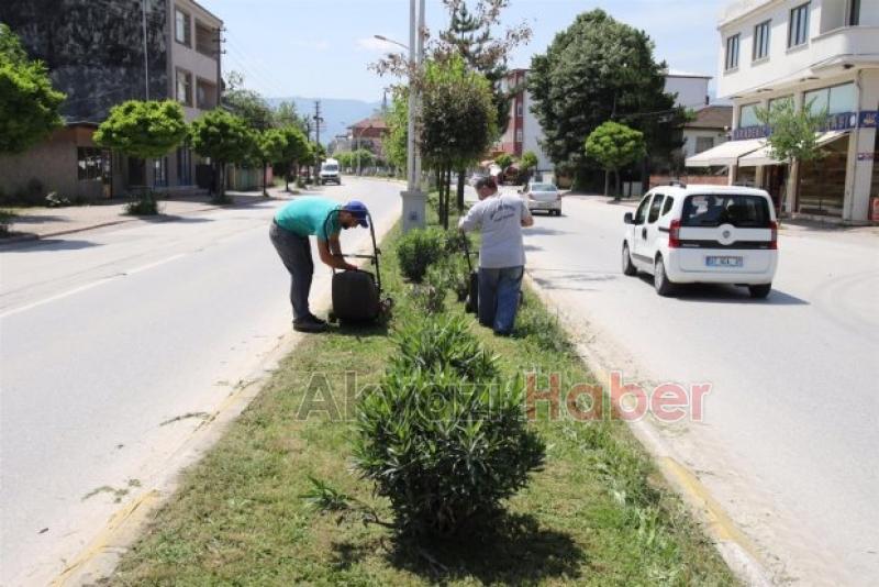 İlçe Genelinde Orta Refüj Temizlikleri Başladı