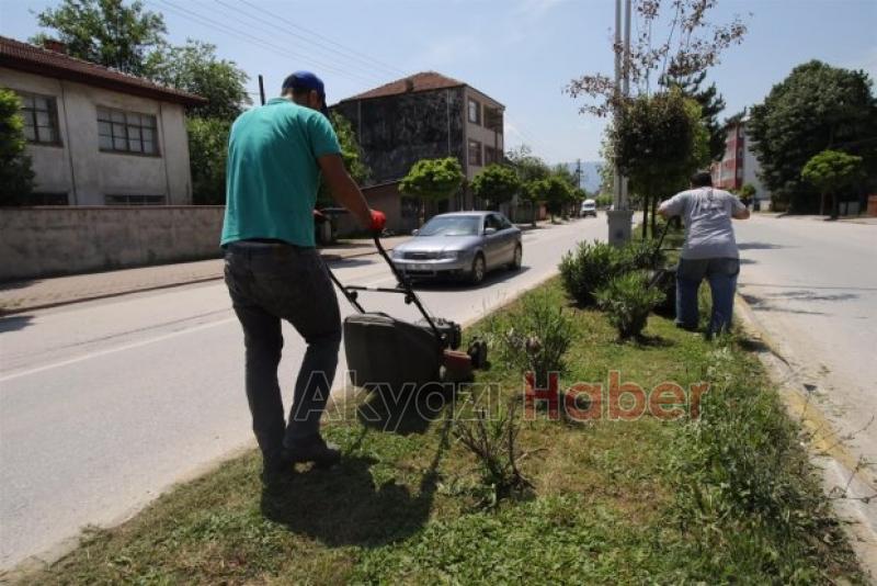 İlçe Genelinde Orta Refüj Temizlikleri Başladı