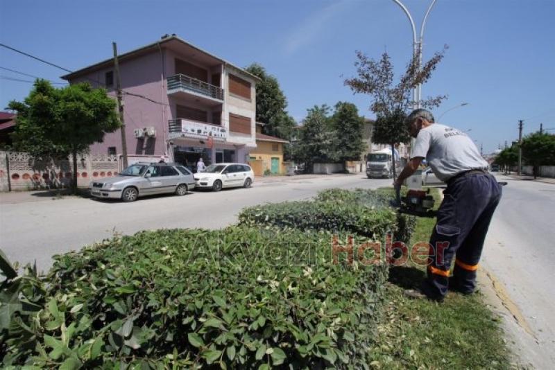 İlçe Genelinde Orta Refüj Temizlikleri Başladı