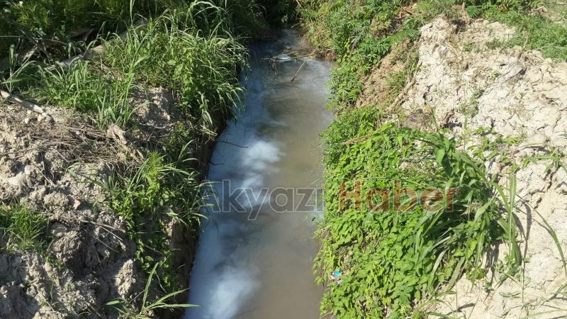 İLÇE GENELİNDE TIRTIL VE KELEBEK İLAÇLAMALARINA HIZ VERİLDİ