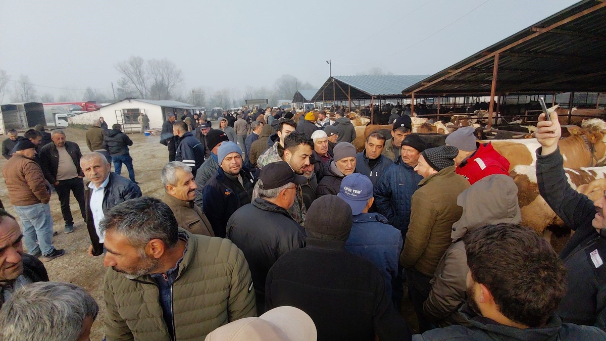 İlginç kurban pazarlığı kamerada