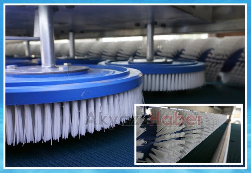 İlhan Halı Temizleme Merkezi İle Halılarınız Tertemiz