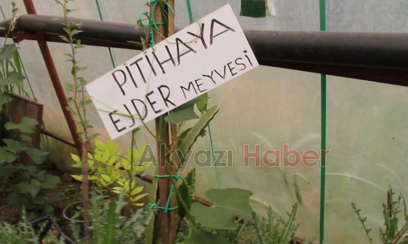 İnşaat Mühendisliğinden Çiftçiliğe Uzanan Bir Hikaye