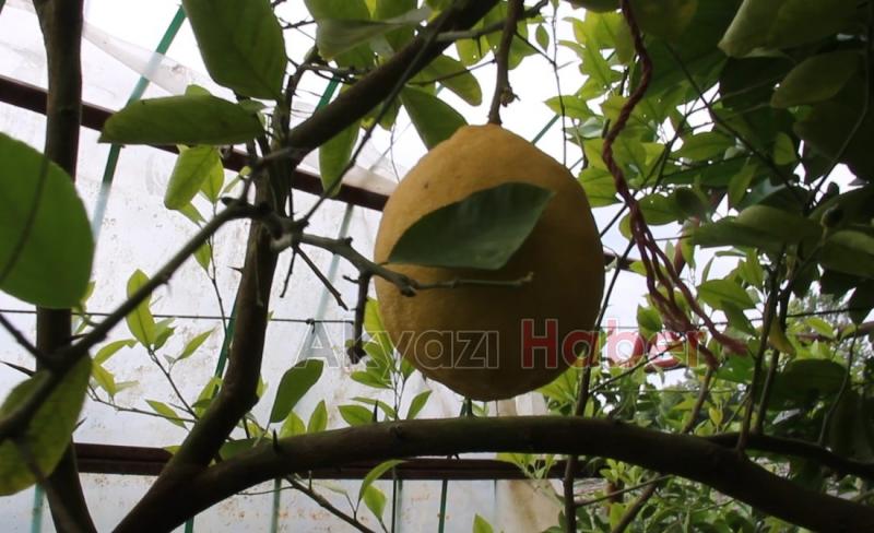 İnşaat Mühendisliğinden Çiftçiliğe Uzanan Bir Hikaye