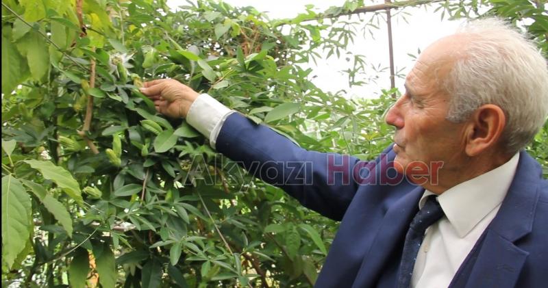 İnşaat Mühendisliğinden Çiftçiliğe Uzanan Bir Hikaye