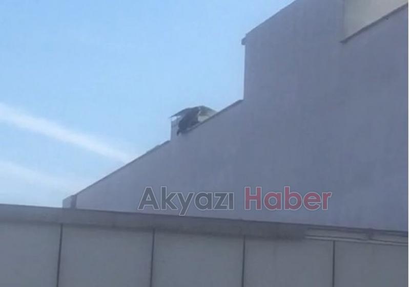 Ailevi sorunları olan kadın Çatıya çıktı