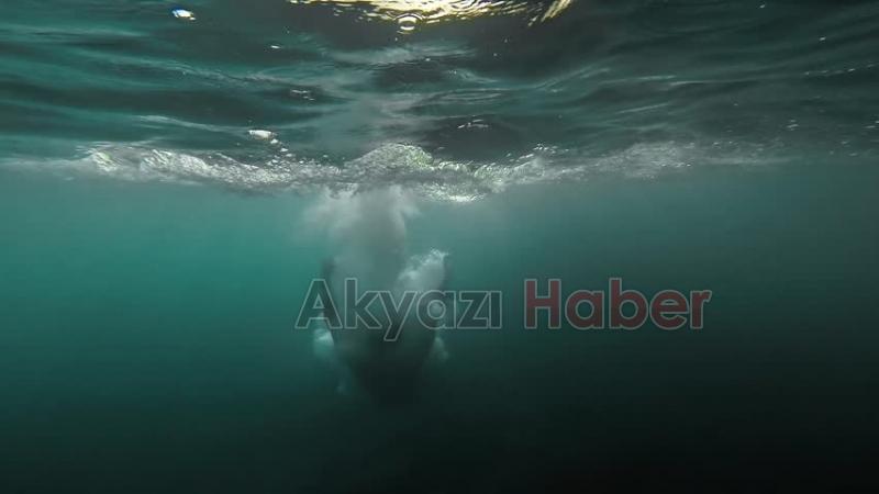 İNSAN SUDA NEDEN BOĞULUR