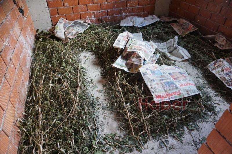 İpek Örmeyen Kozalara Vatandaş Tepkili