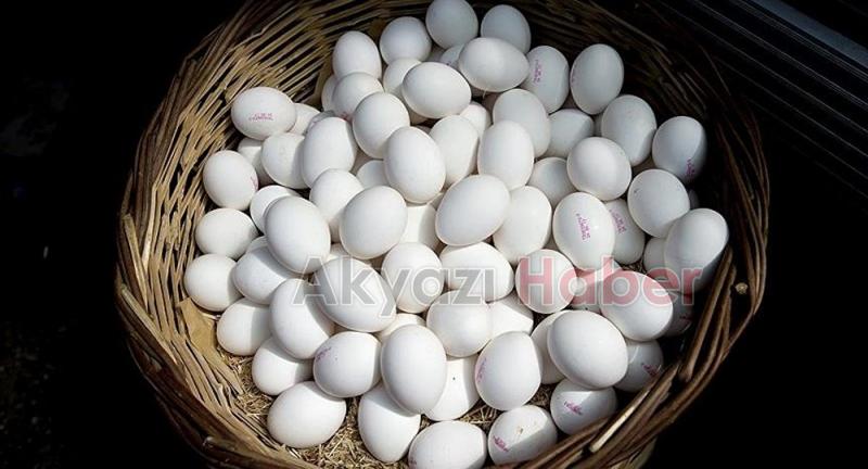 Iraka yumurta satışı durunca iç piyasada fiyatlar düştü