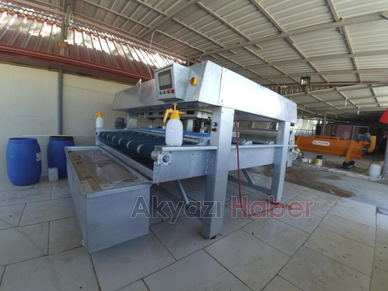  IŞILDAYAN HALILAR İÇİN PAK HALI YIKAMA