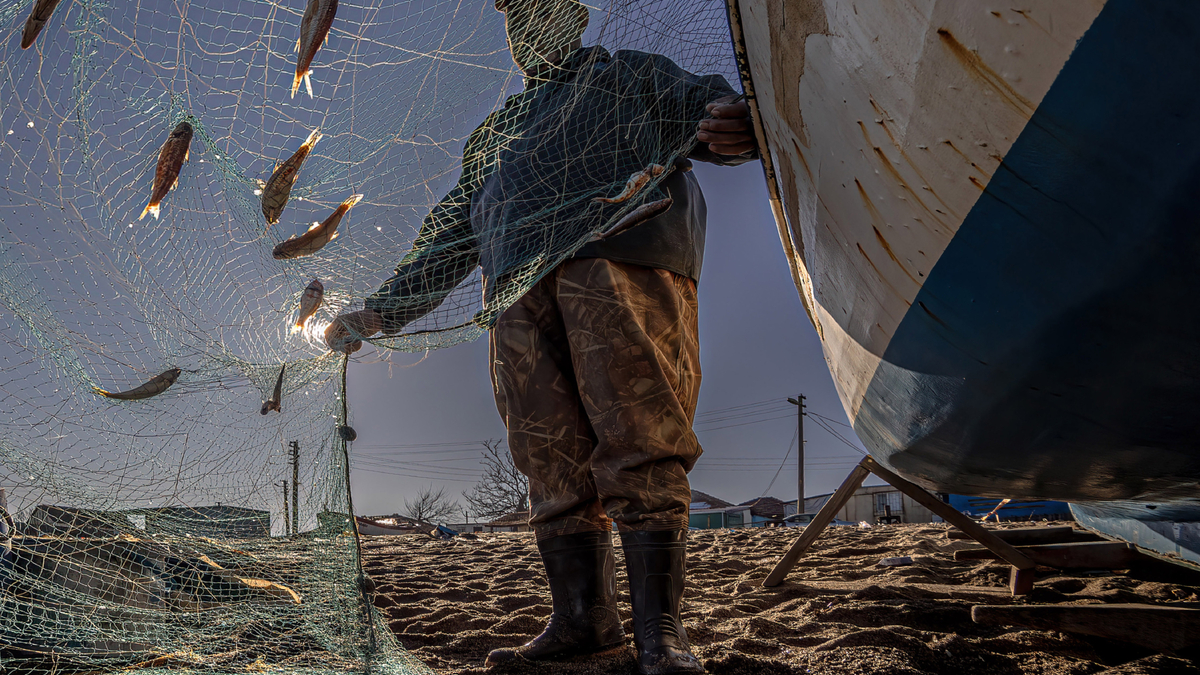 İşte Sakarya'yı en iyi yansıtan fotoğraflar