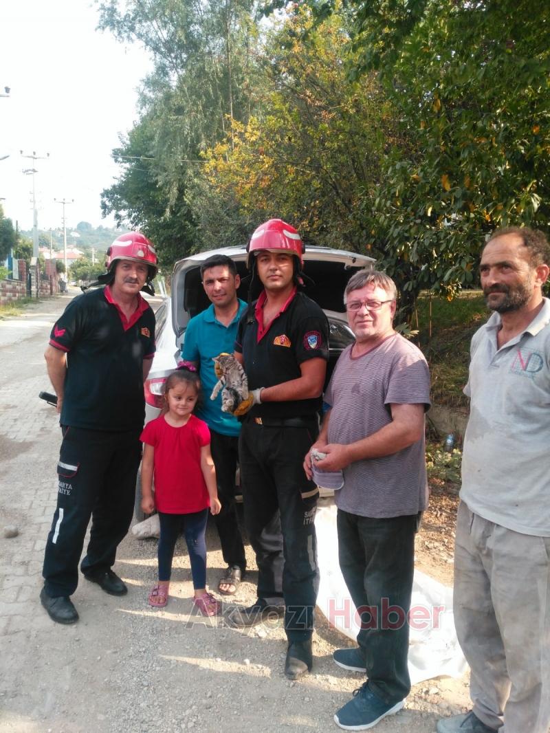 İtfaiye Erleri Kedi Kurtarma Görevinde 