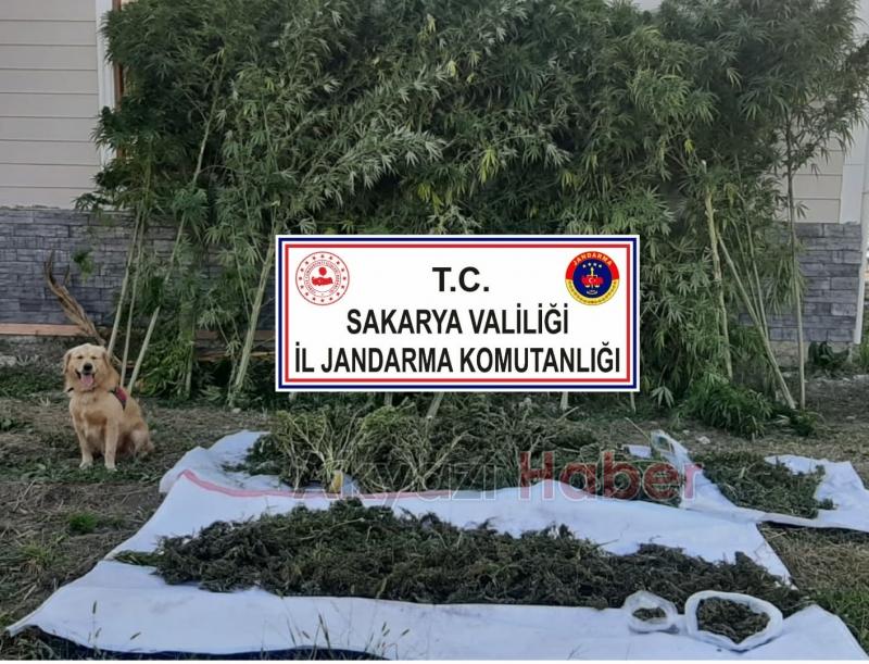 Jandarma asayiş raporunu açıkladı 20 kilo uyuşturucu ele geçirildi