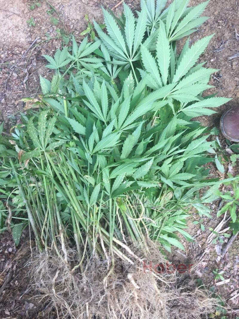 JANDARMA'DAN KAÇIŞ YOK