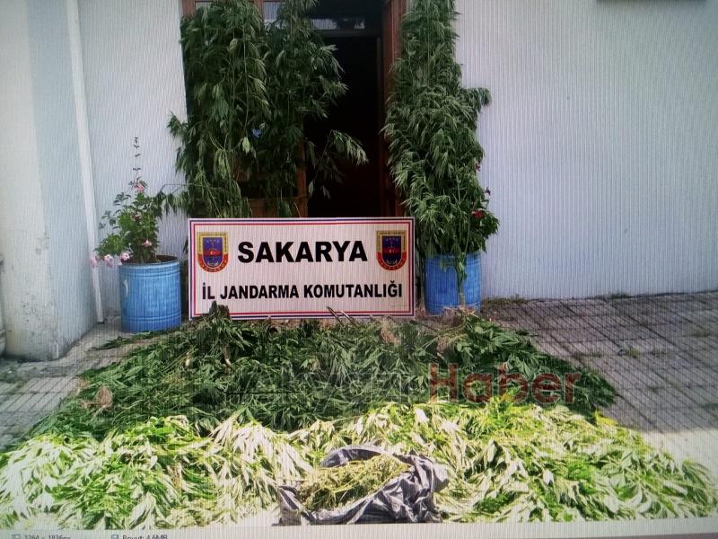 JANDARMA'DAN KAÇIŞ YOK