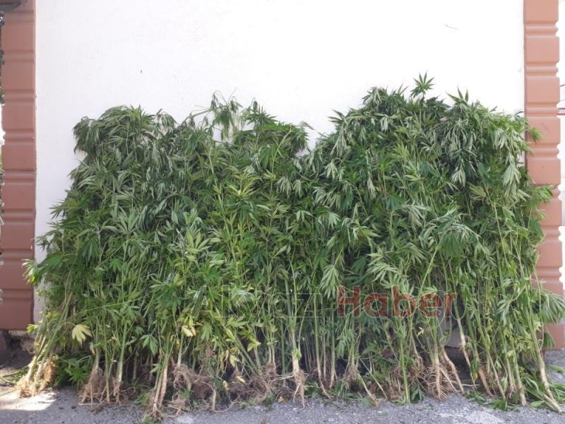 JANDARMA KÖK SÖKTÜRÜYOR