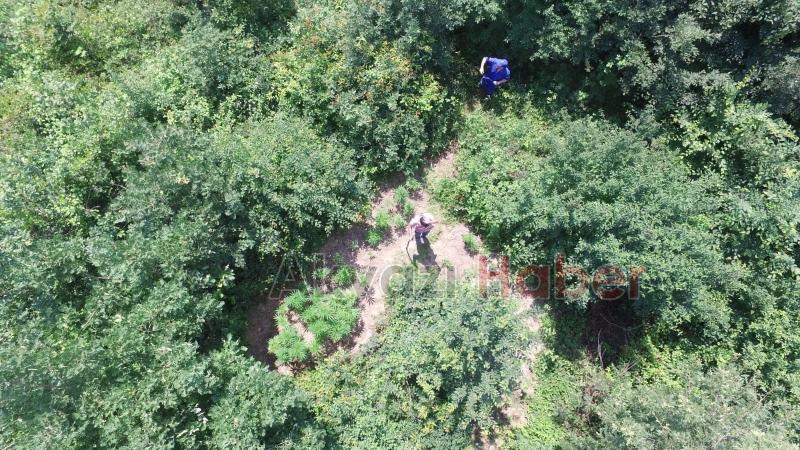 JANDARMA KÖK SÖKTÜRÜYOR