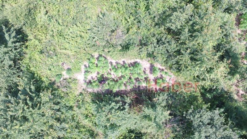 JANDARMA KÖK SÖKTÜRÜYOR