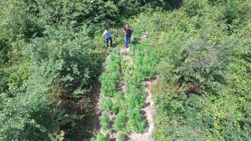 JANDARMA KÖK SÖKTÜRÜYOR